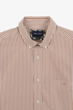 Chemisette Marron A Rayures