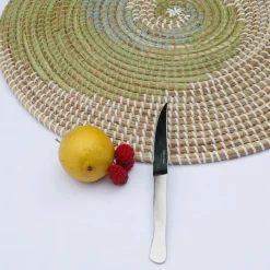 Lot De 6 Couteaux De Table En Inox